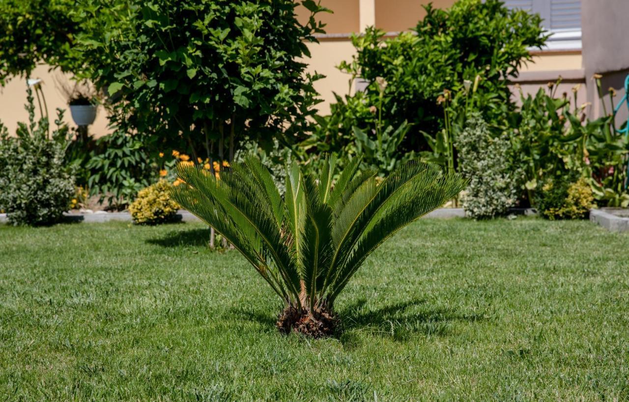 Apartments Luka راب المظهر الخارجي الصورة