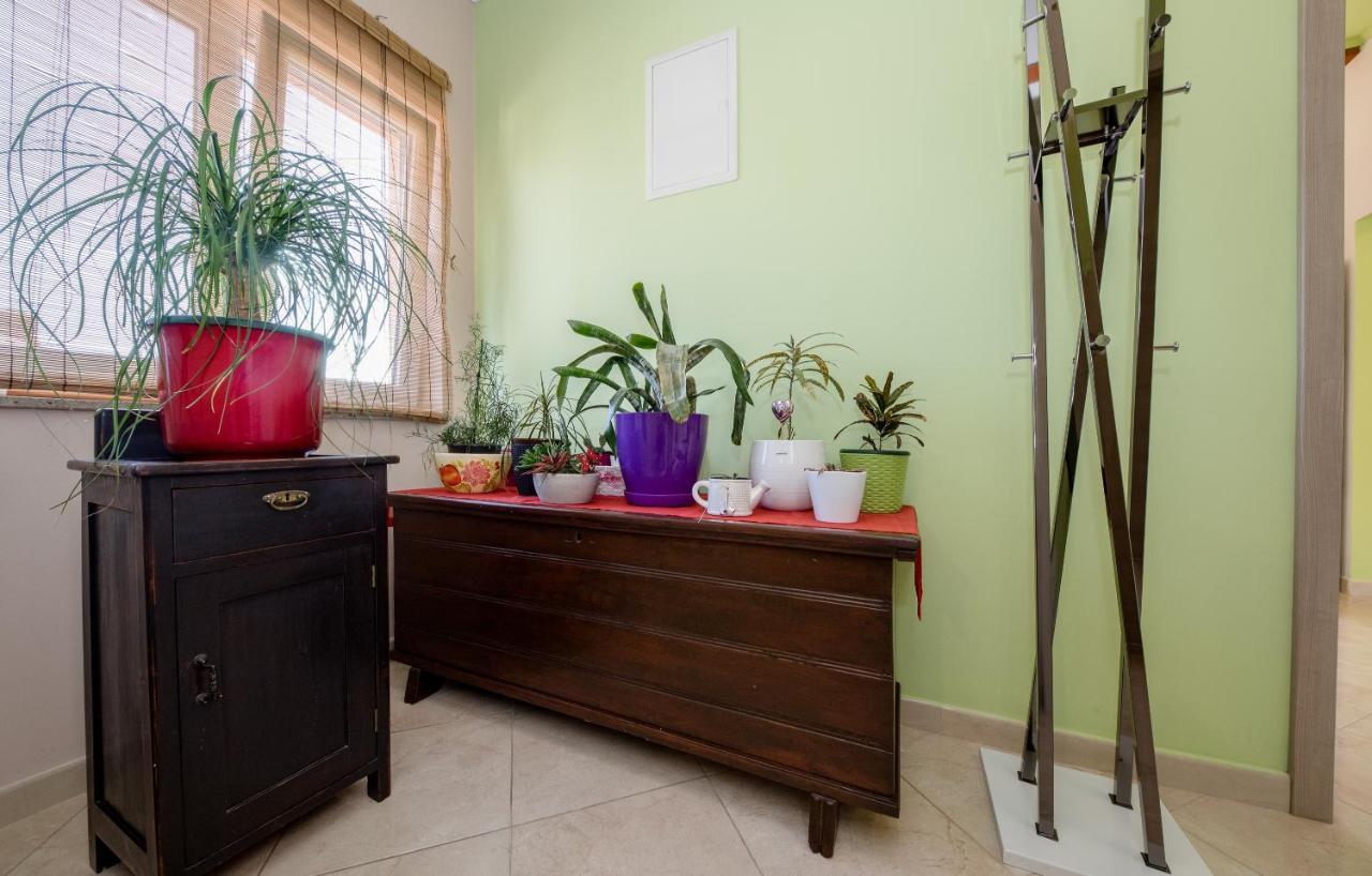 Apartments Luka راب المظهر الخارجي الصورة