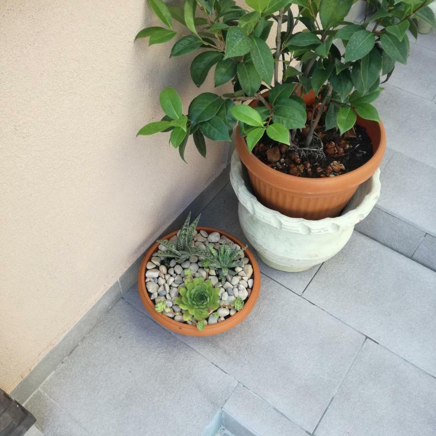 Apartments Luka راب المظهر الخارجي الصورة